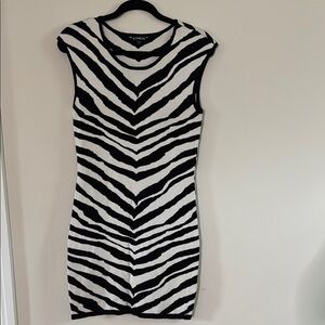 Express Black and White Zebra Print Dress